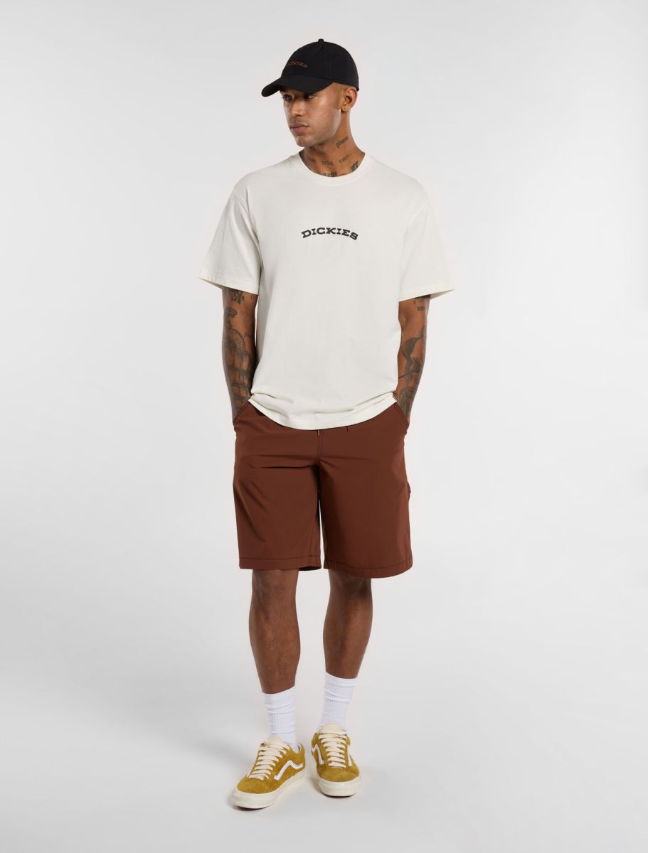 Dickies uomo t-shirt Outdoor DK0A4Z8PC481