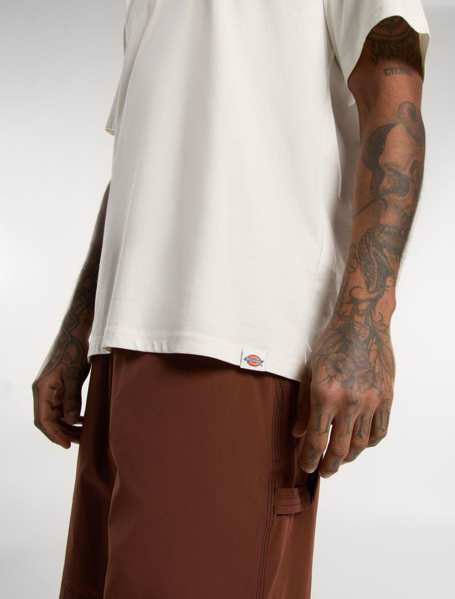 Dickies uomo t-shirt Outdoor DK0A4Z8PC481