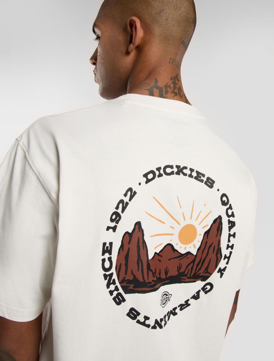 Dickies uomo t-shirt Outdoor DK0A4Z8PC481