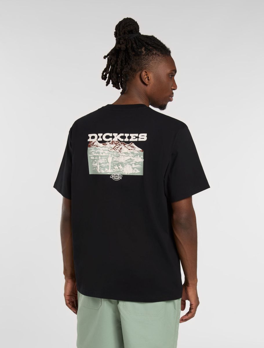 Dickies uomo t-shirt Landascape DK0A4Z8VBLK1