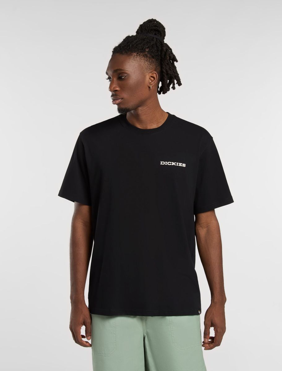 Dickies uomo t-shirt Landascape DK0A4Z8VBLK1