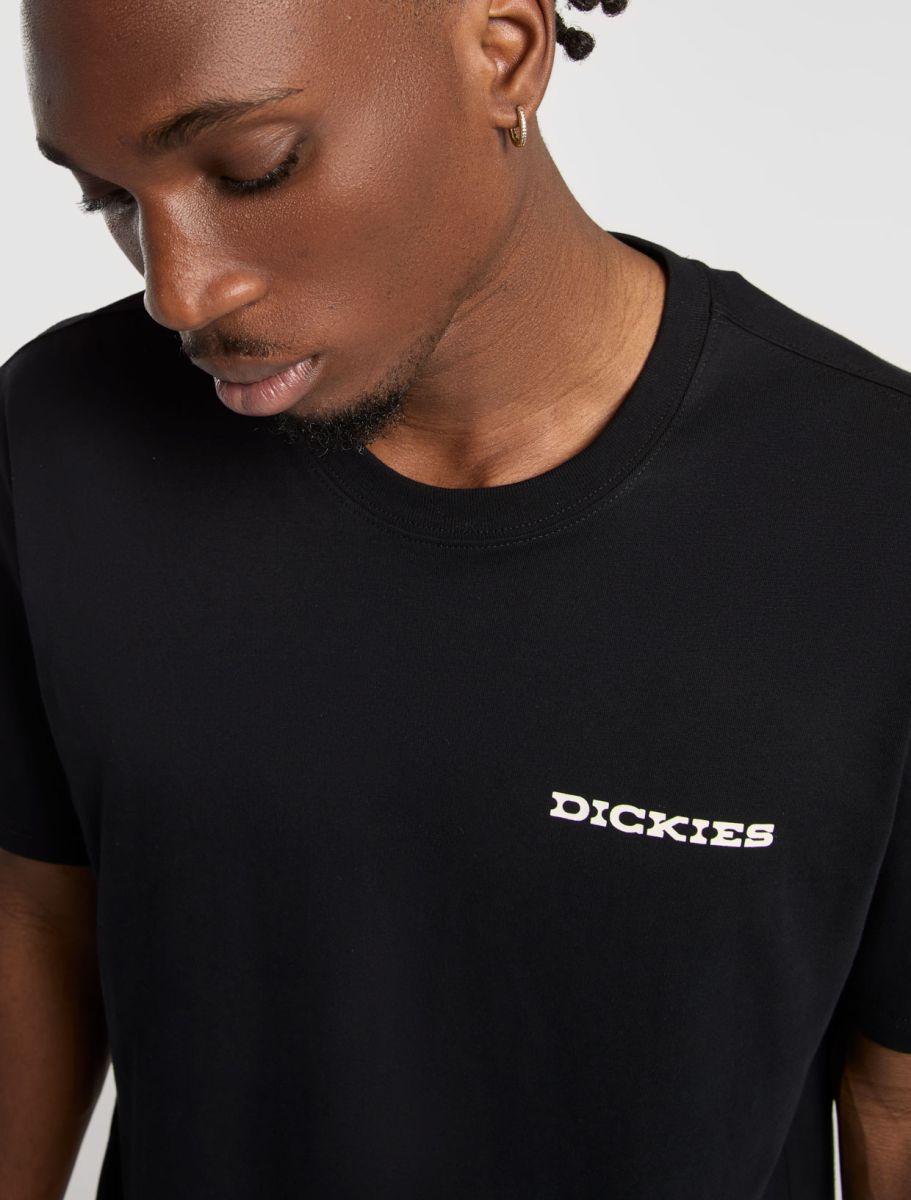 Dickies uomo t-shirt Landascape DK0A4Z8VBLK1