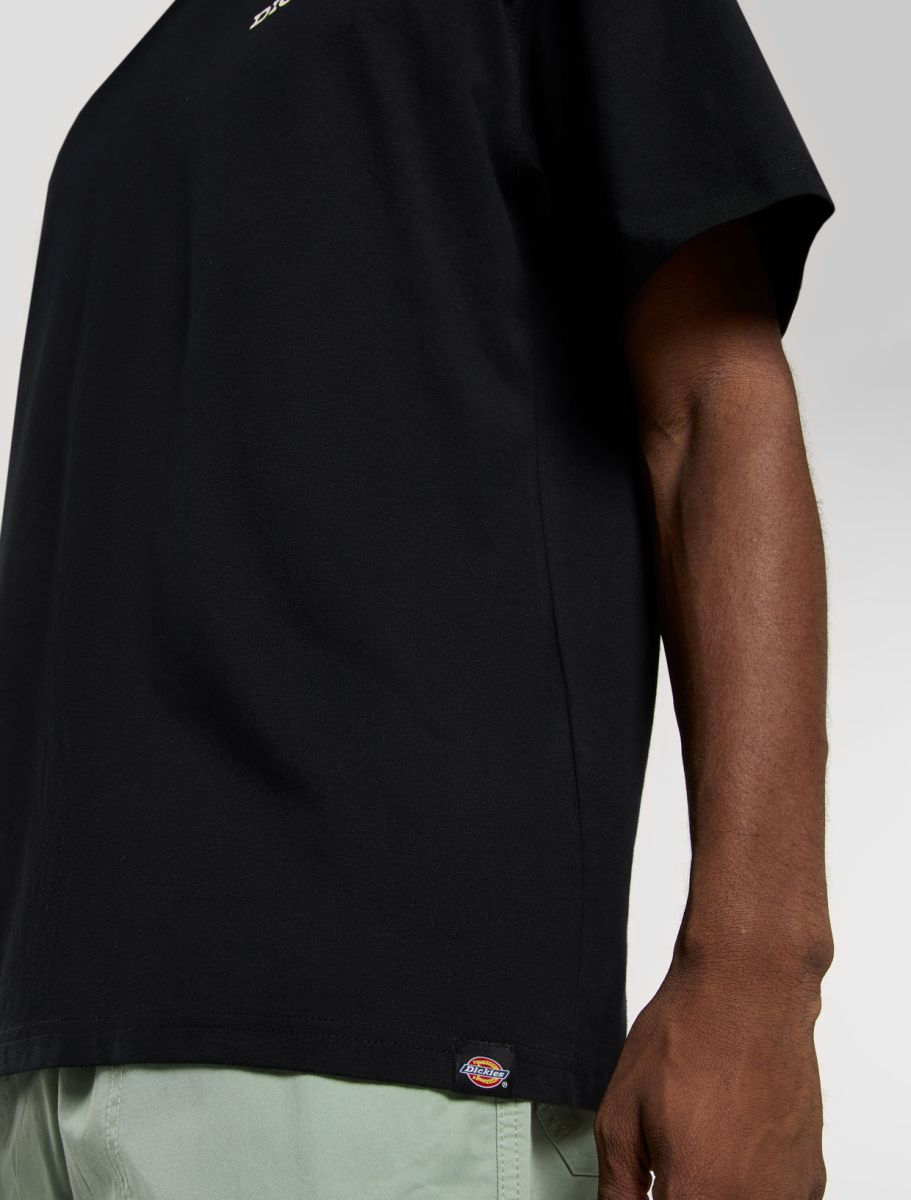 Dickies uomo t-shirt Landascape DK0A4Z8VBLK1