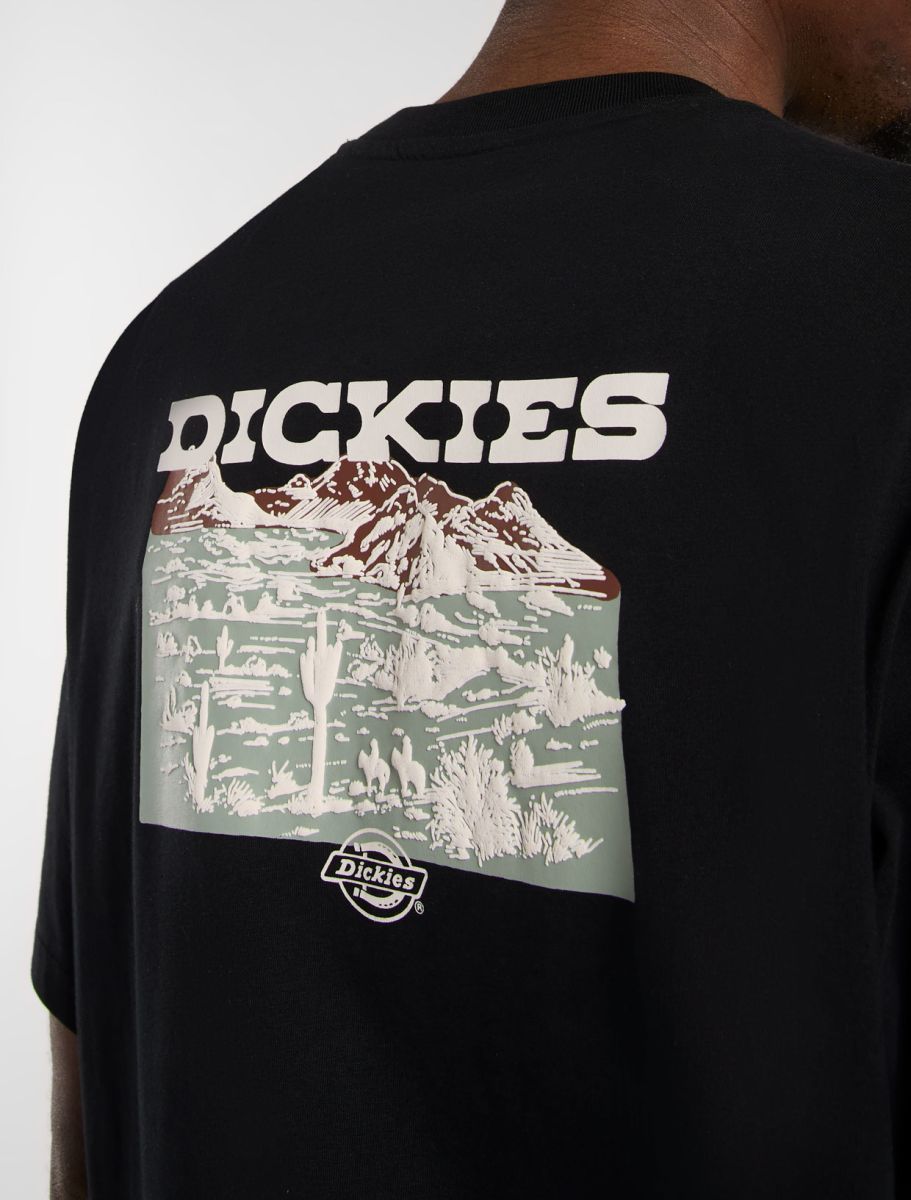 Dickies uomo t-shirt Landascape DK0A4Z8VBLK1