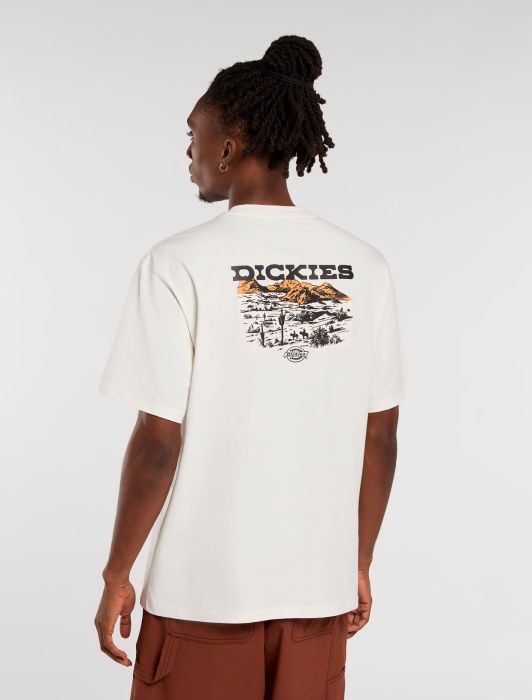 Dickies uomo t-shirt Landascape DK0A4Z8VC481