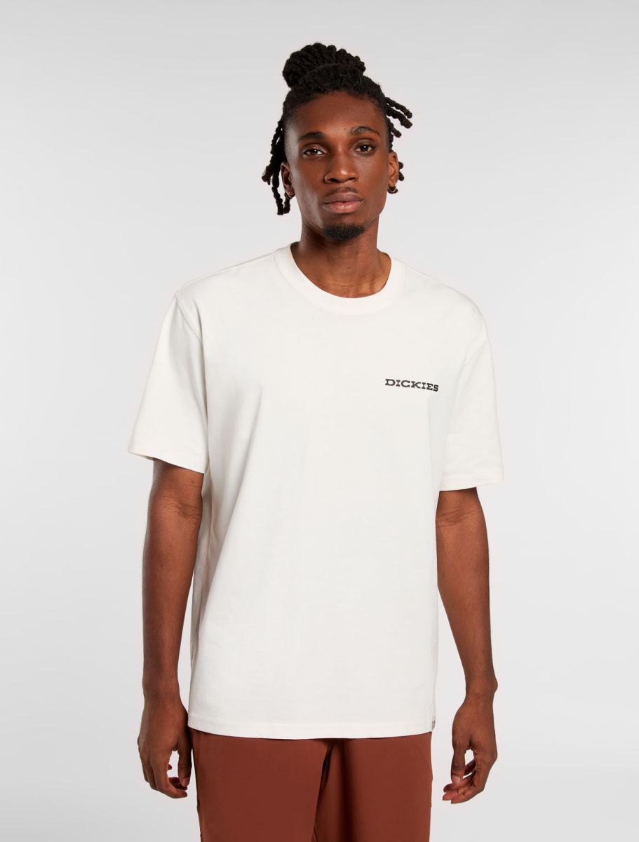 Dickies uomo t-shirt Landascape DK0A4Z8VC481