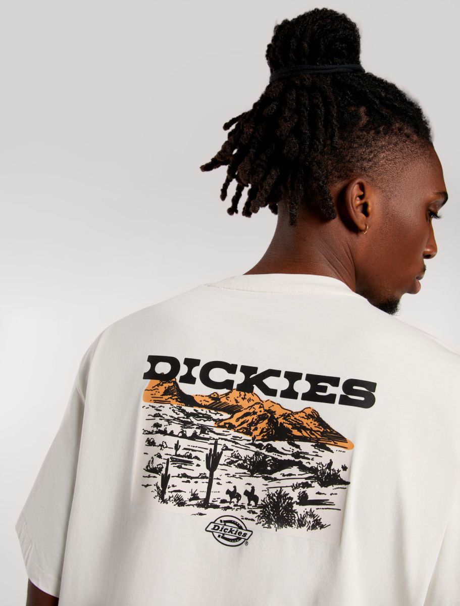 Dickies uomo t-shirt Landascape DK0A4Z8VC481