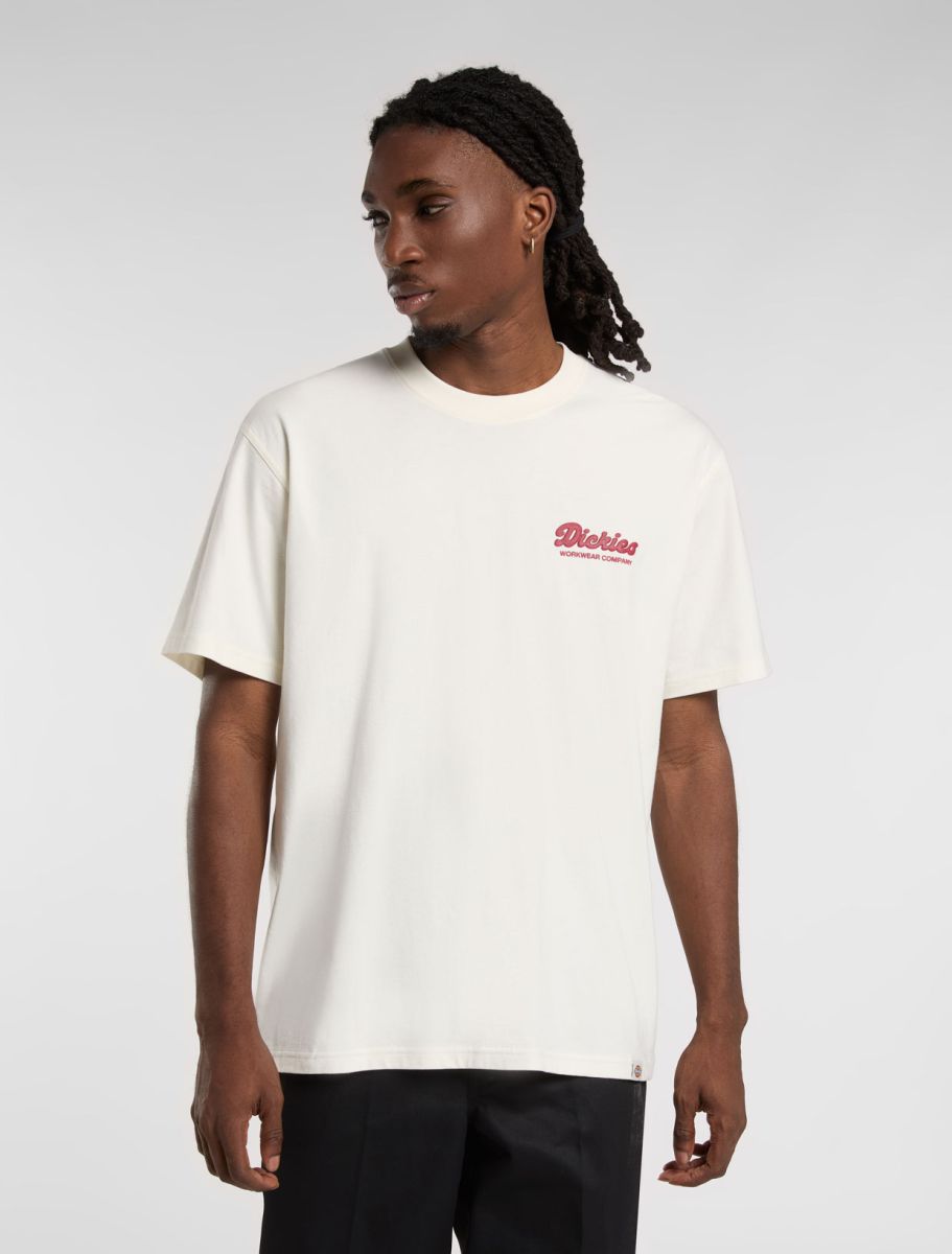 Dickies uomo t-shirt Lewistown DK0A4Z8ZC481