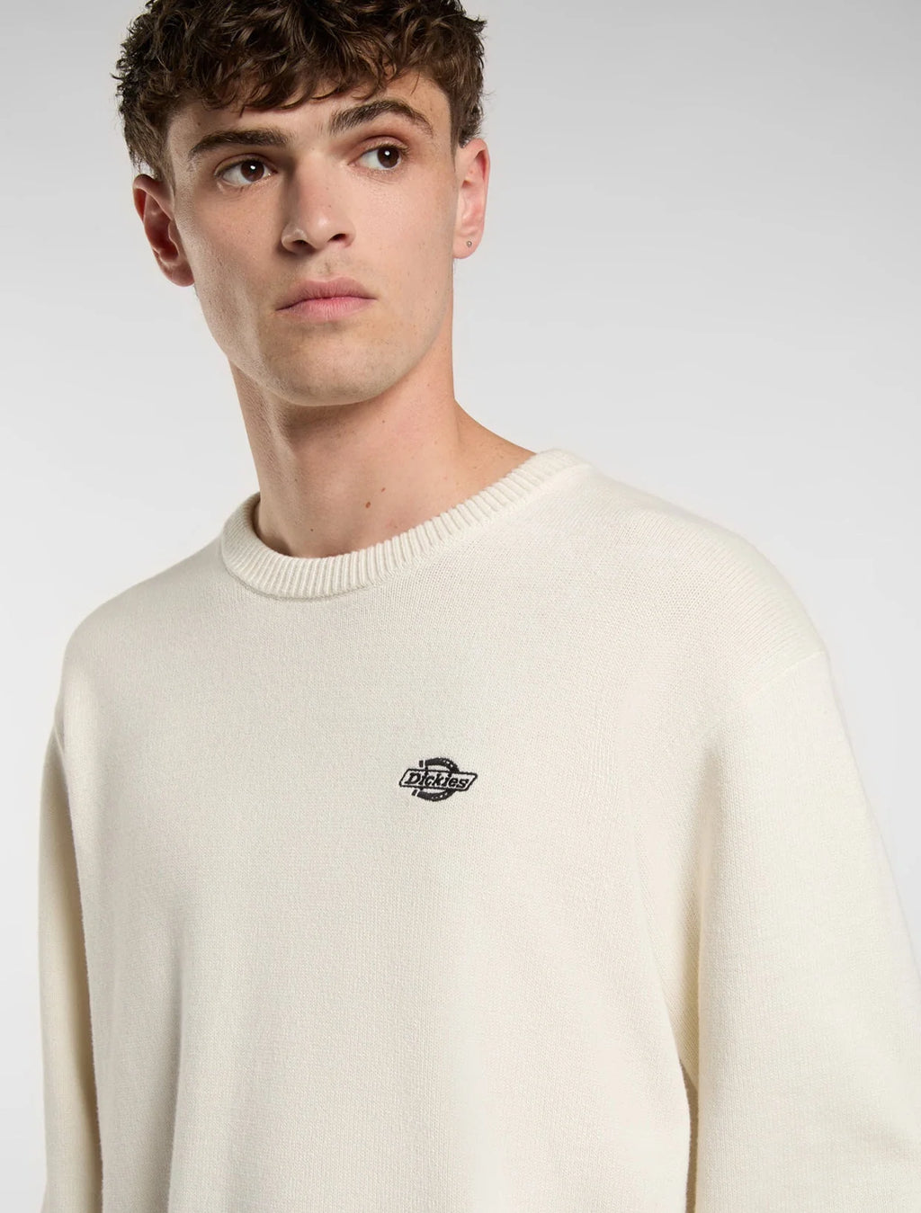 dickies felpa SUMMERDALE EGRET DK0A87OPC481