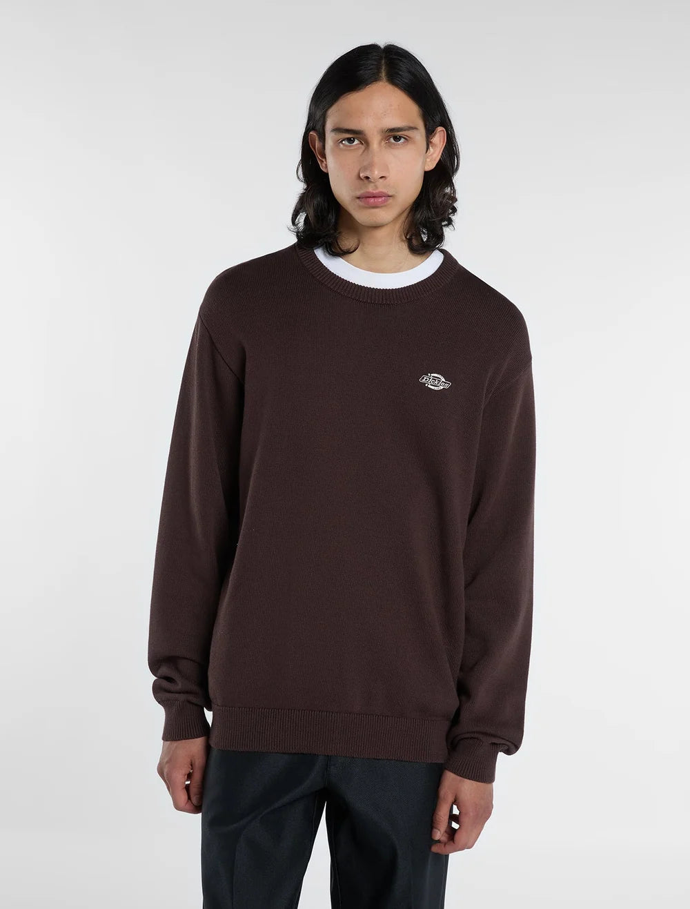 dickies felpa SUMMERDALE CHOCOLATE BROWN 0A87OP