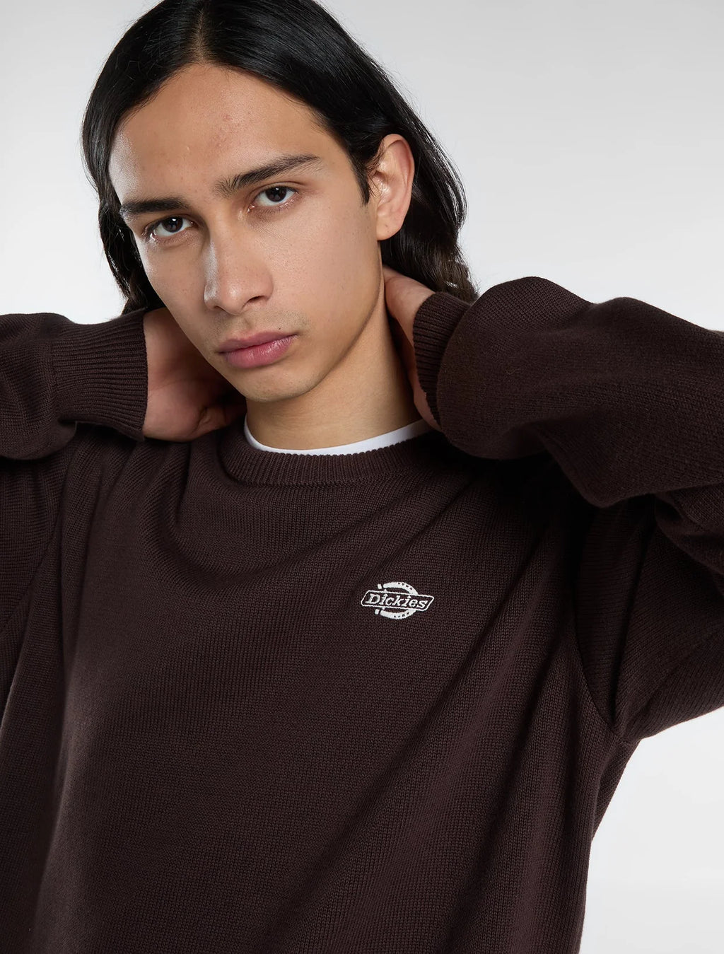dickies felpa SUMMERDALE CHOCOLATE BROWN 0A87OP