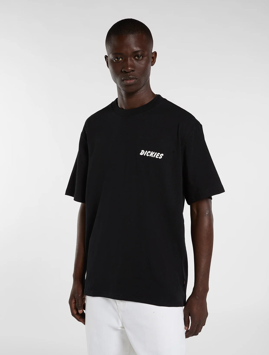 Dickies uomo t-shirt DRY RIDGE DK0A8853BLK1