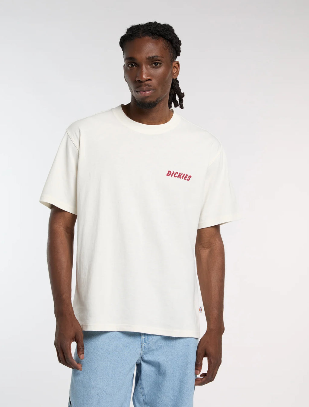 Dickies uomo t-shirt DRY RIDGE DK0A8853C481