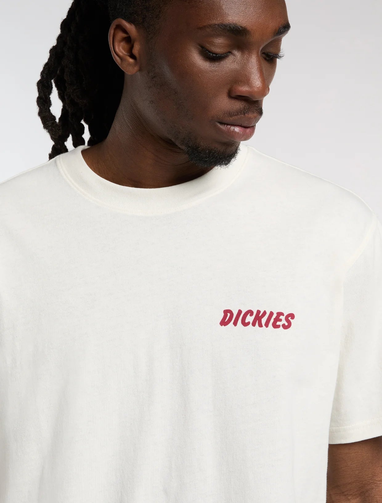 Dickies uomo t-shirt DRY RIDGE DK0A8853C481