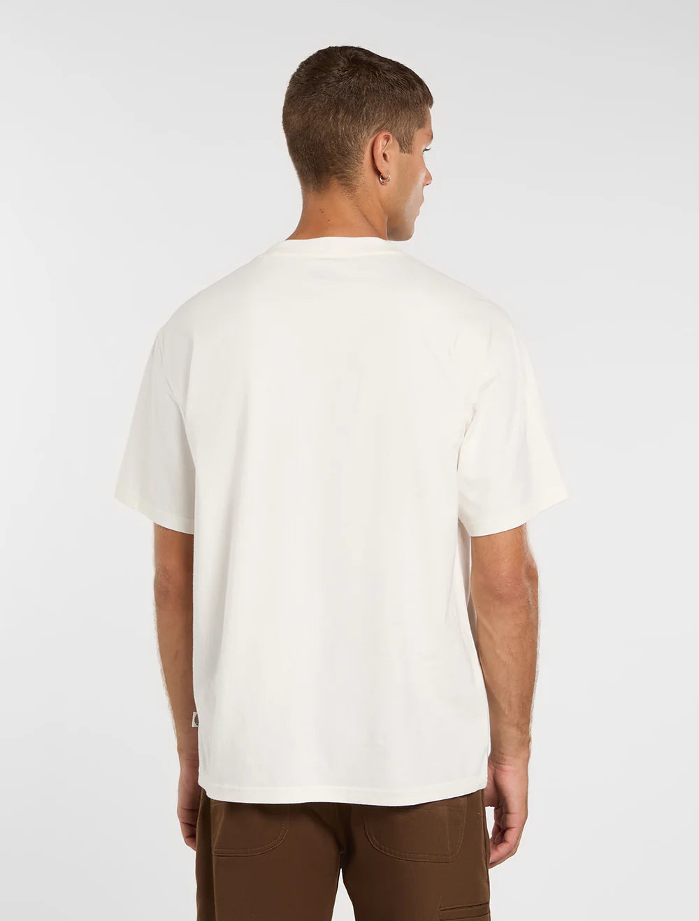 Dickies uomo t-shirt LYNNDYL DK0A88JHC481