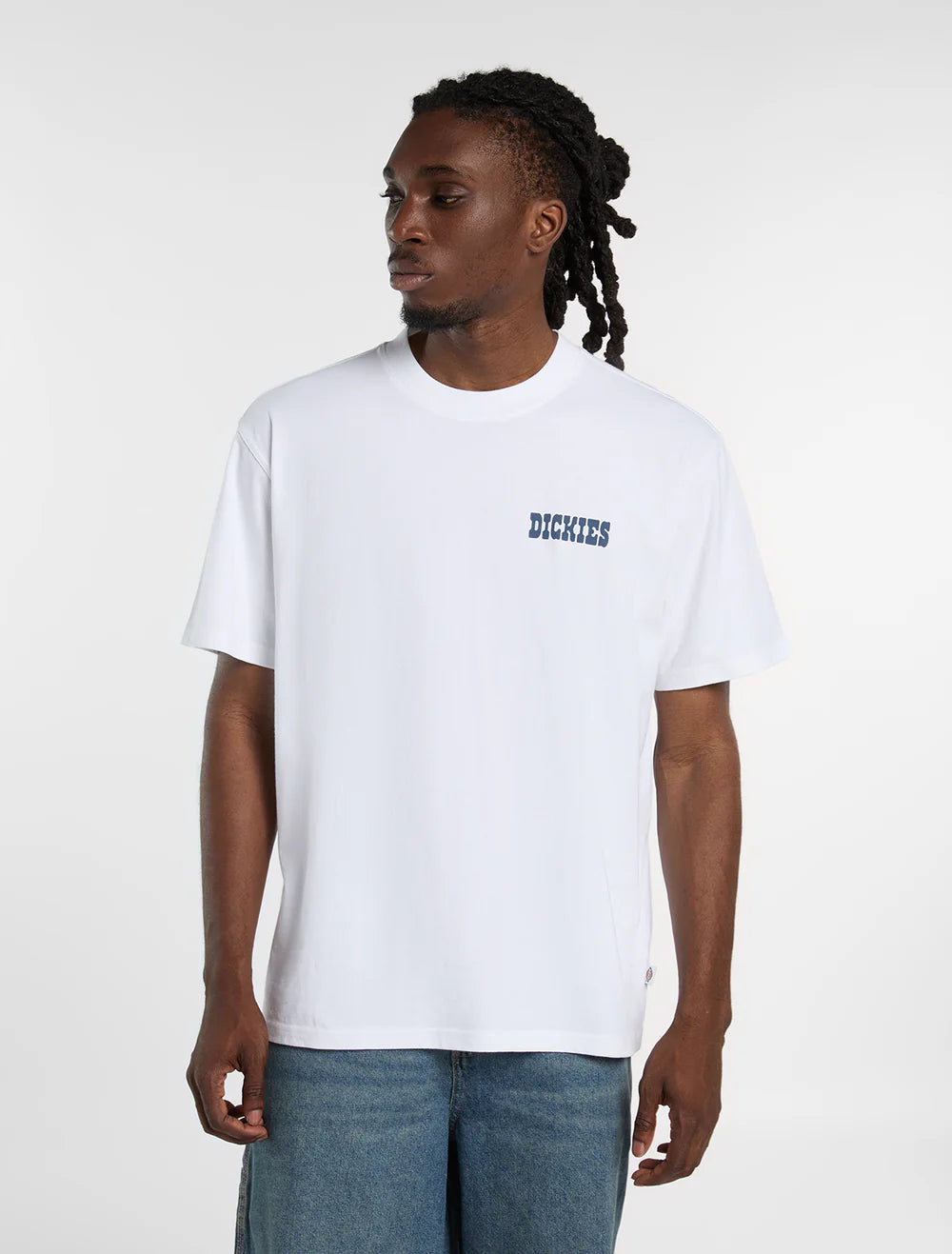 Dickies uomo t-shirt PLAIN CITY DK0A88JI0WH1