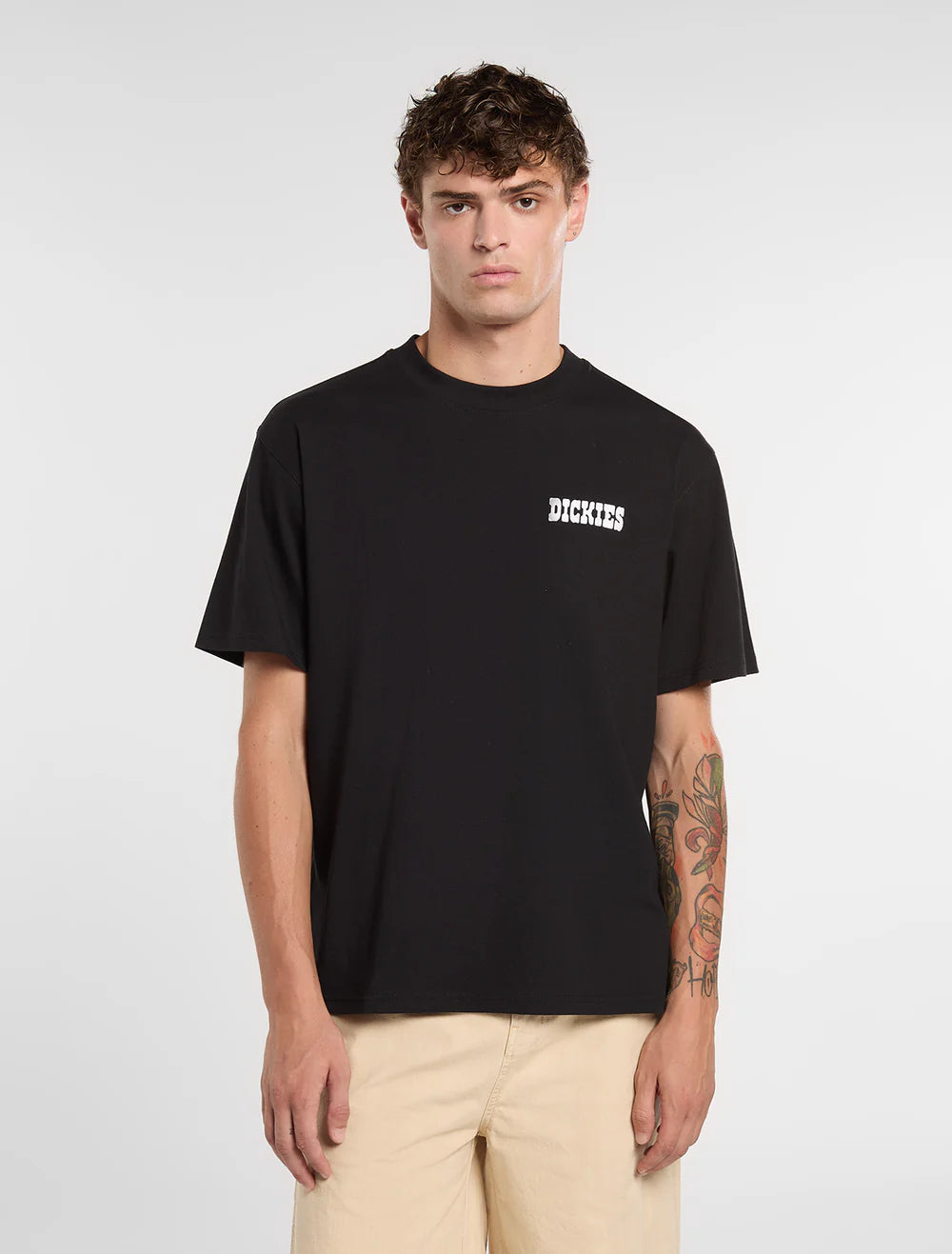 Dickies uomo t-shirt PLAIN CITY DK0A88JIBLK1