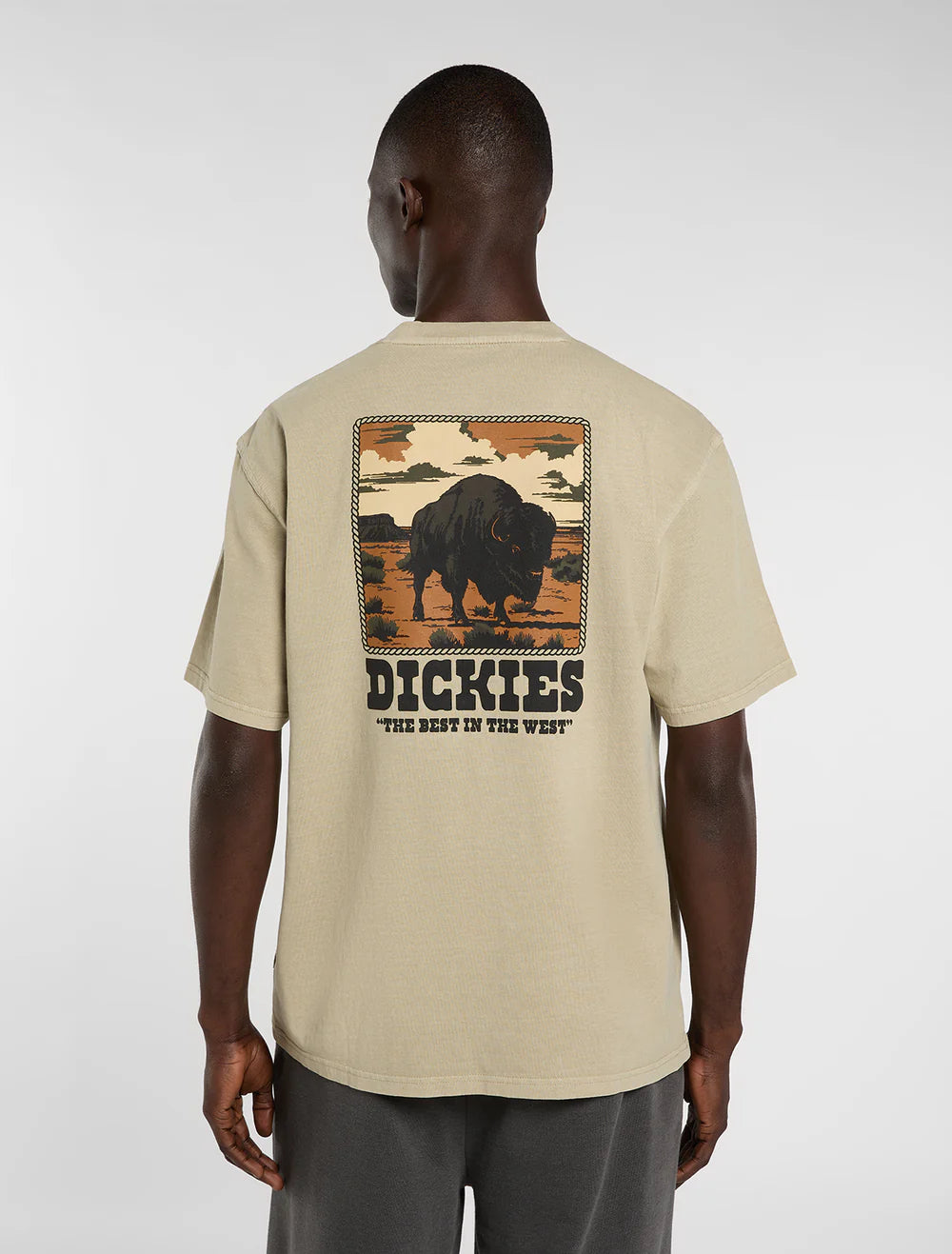 Dickies uomo t-shirt DARRTOWN DK0A88QQL441