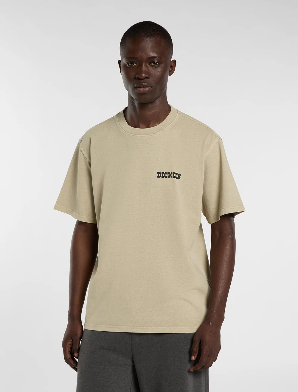 Dickies uomo t-shirt DARRTOWN DK0A88QQL441