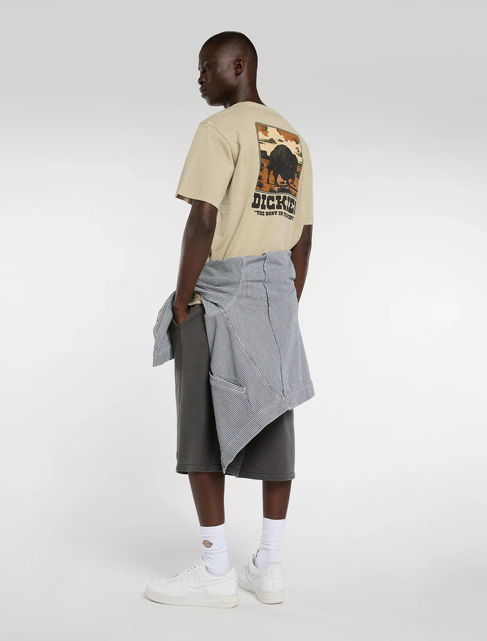 Dickies uomo t-shirt DARRTOWN DK0A88QQL441