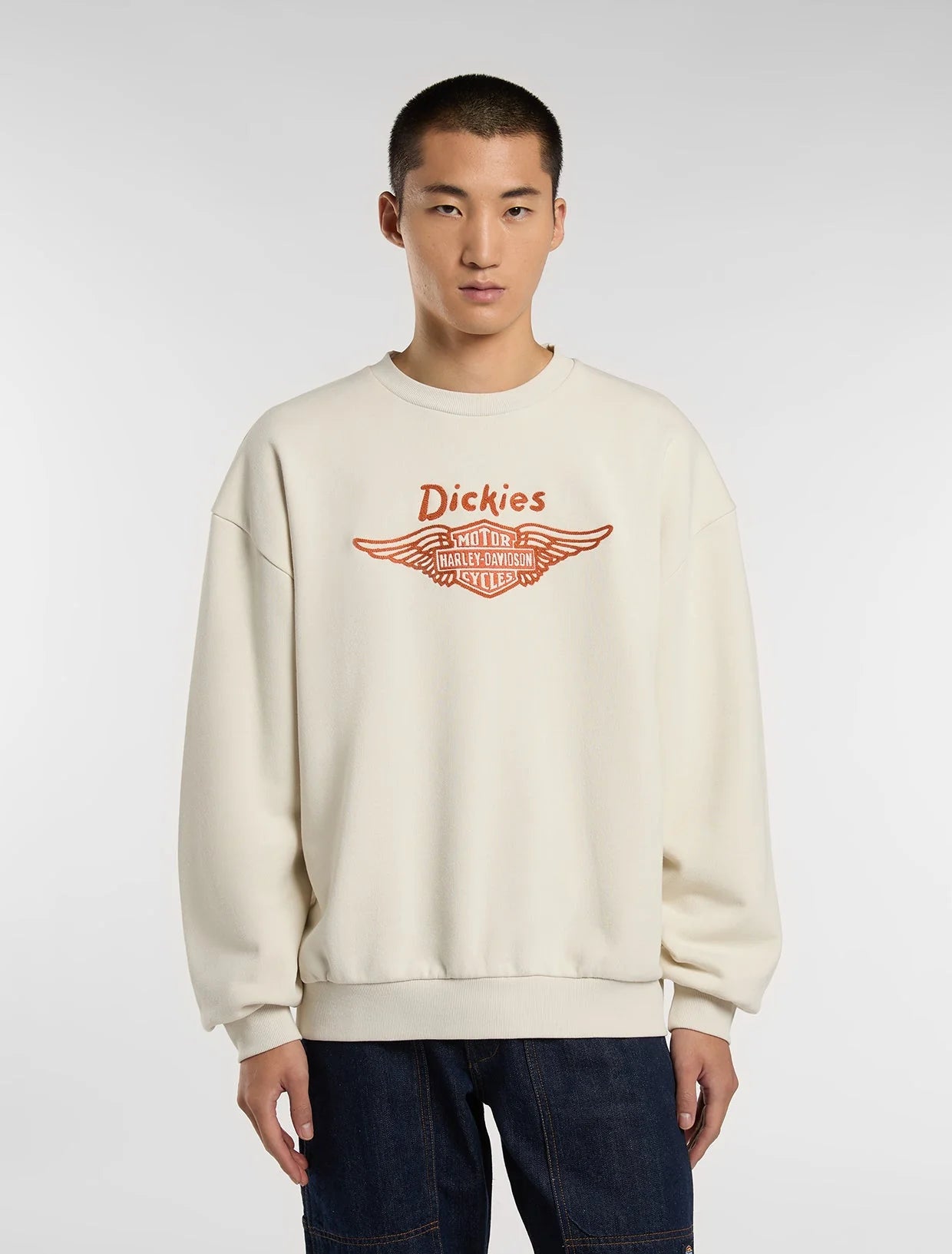 dickies uomo felpa SWEATSHIRT DK0A88RLL631