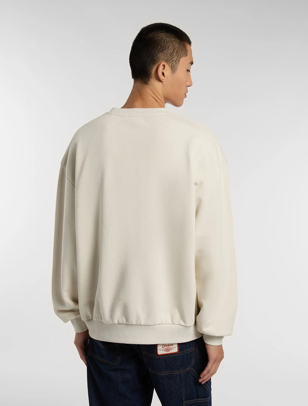 dickies uomo felpa SWEATSHIRT DK0A88RLL631