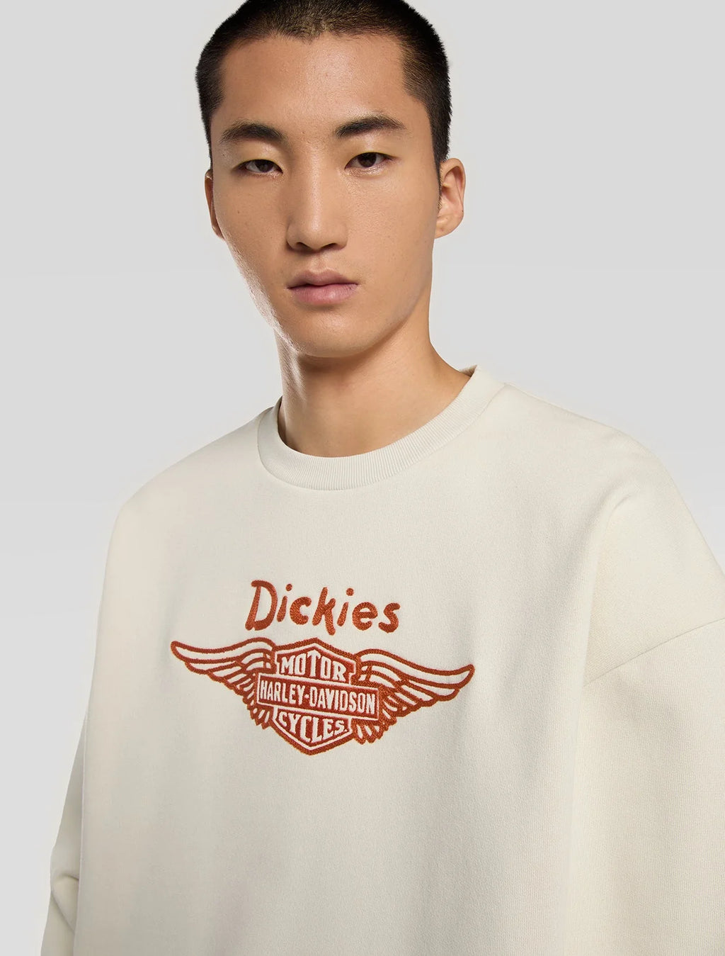 dickies uomo felpa SWEATSHIRT DK0A88RLL631