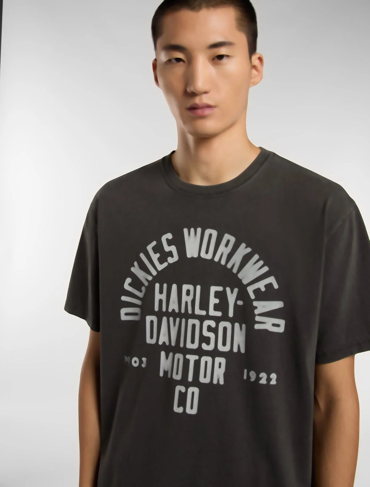 Dickies uomo t-shirt SS TEE 2 DK0A88RMBLK1