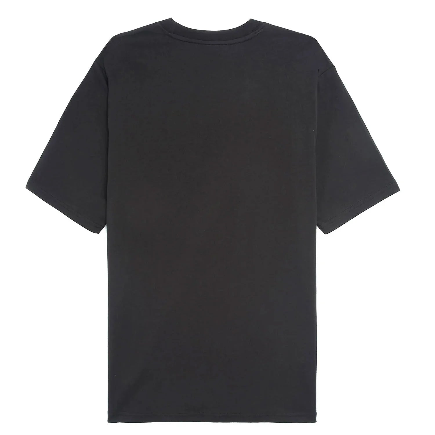 Dickies uomo t-shirt MAPLETON DK0A4XDBBLK1