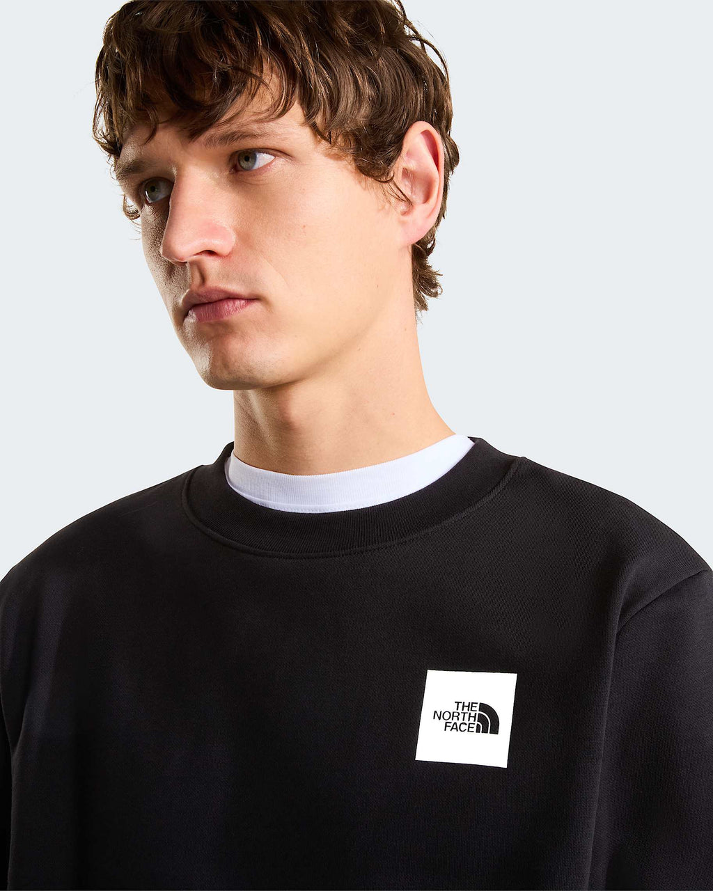 The North Face felpa M BOX HALF DOME 8JAYJK31