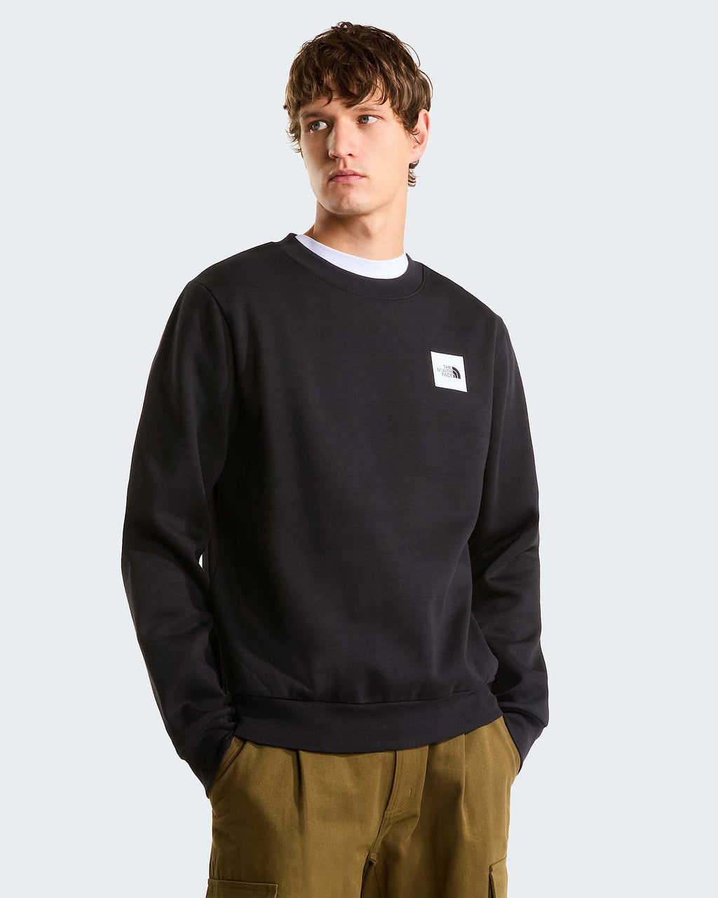 The North Face felpa M BOX HALF DOME 8JAYJK31