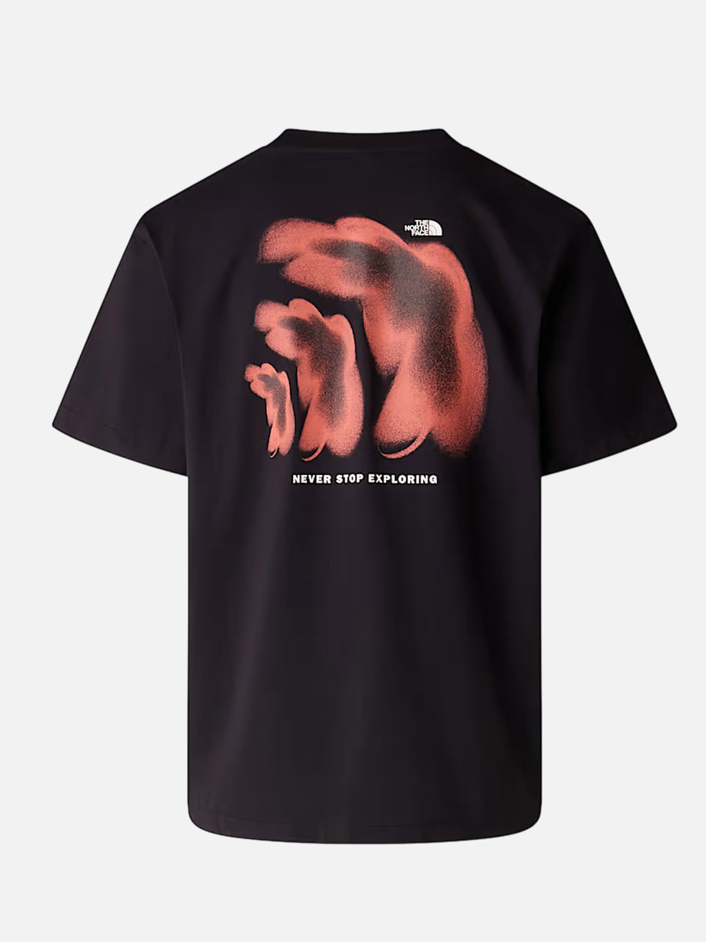 The North Face T-shirt Half Dome Relaxed NF0A8GAFJK31