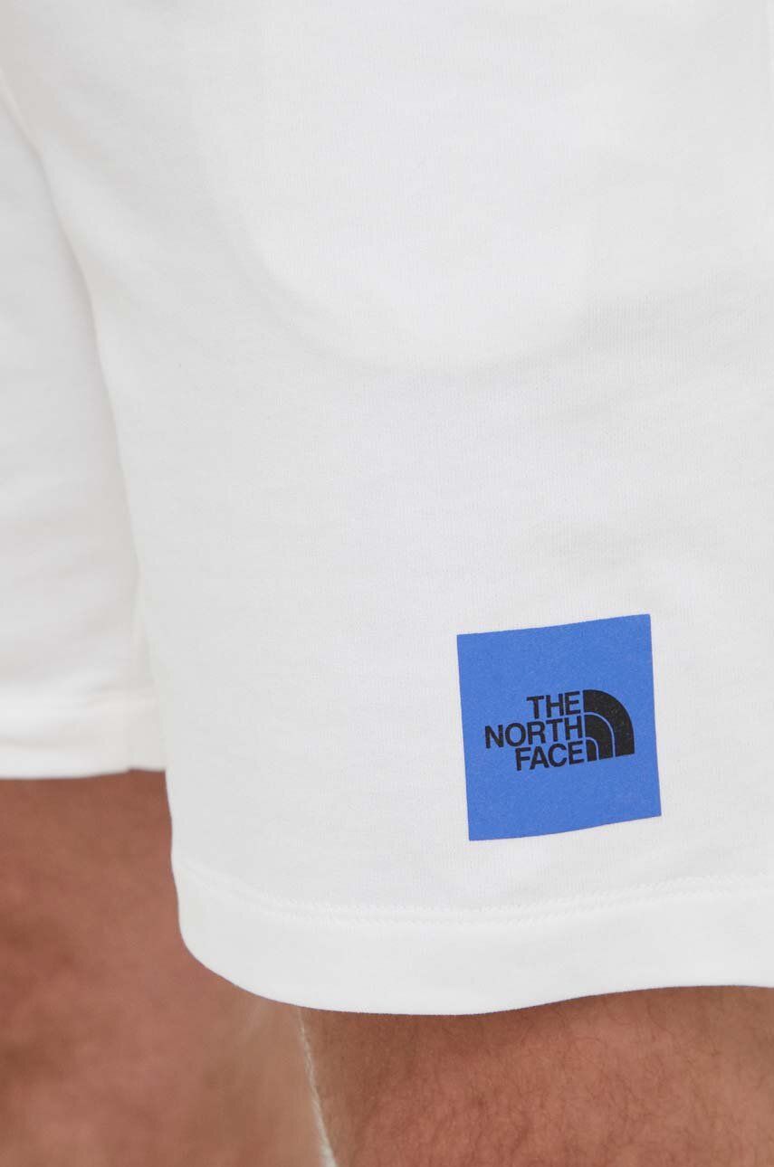 The North Face uomo bermuda M SS24 Coordinates NF0A87ECFN41 Bianco