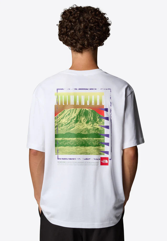 The North Face uomo t-shirt Axys Over NF0A8C1RFN41