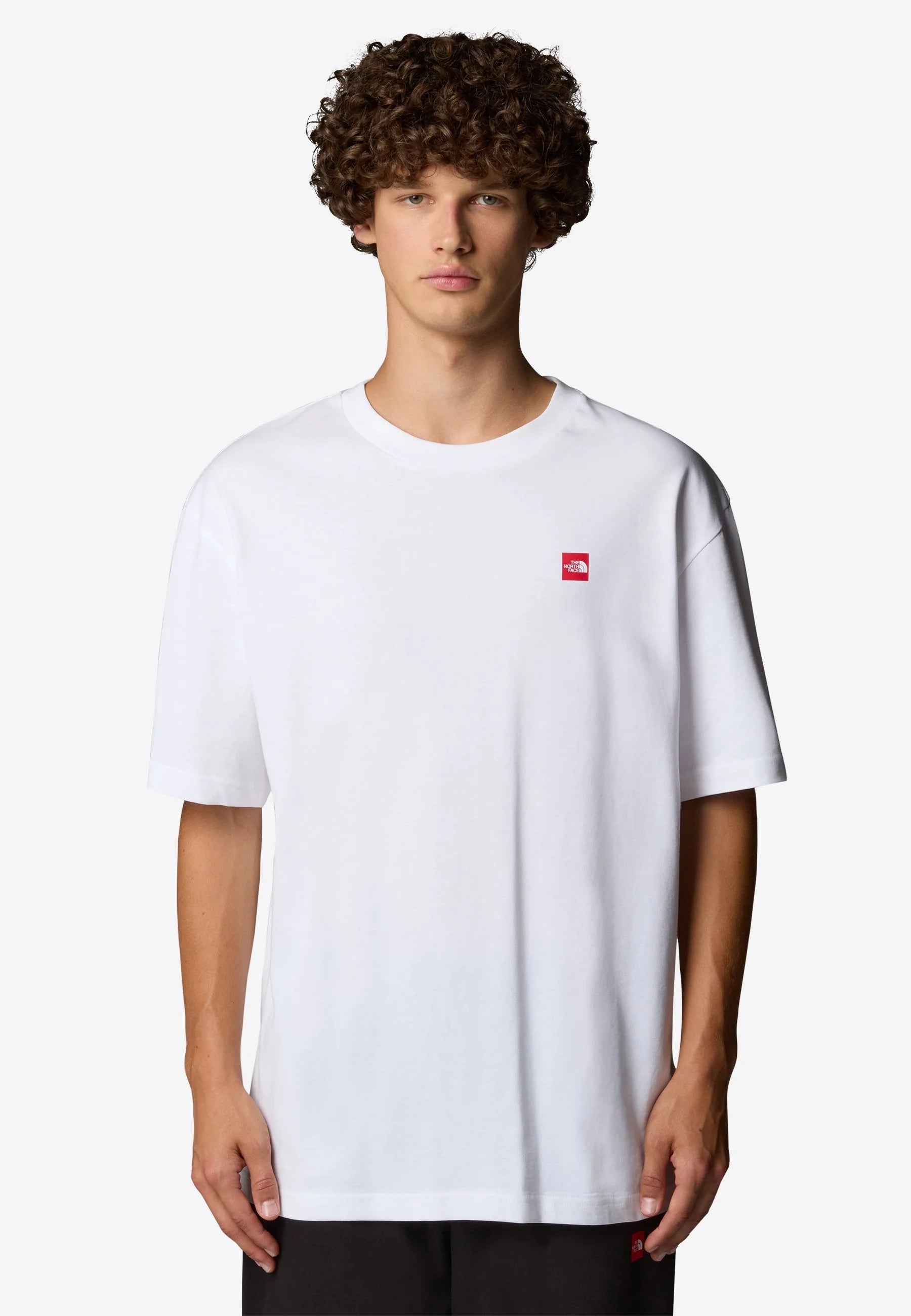 The North Face uomo t-shirt Axys Over NF0A8C1RFN41