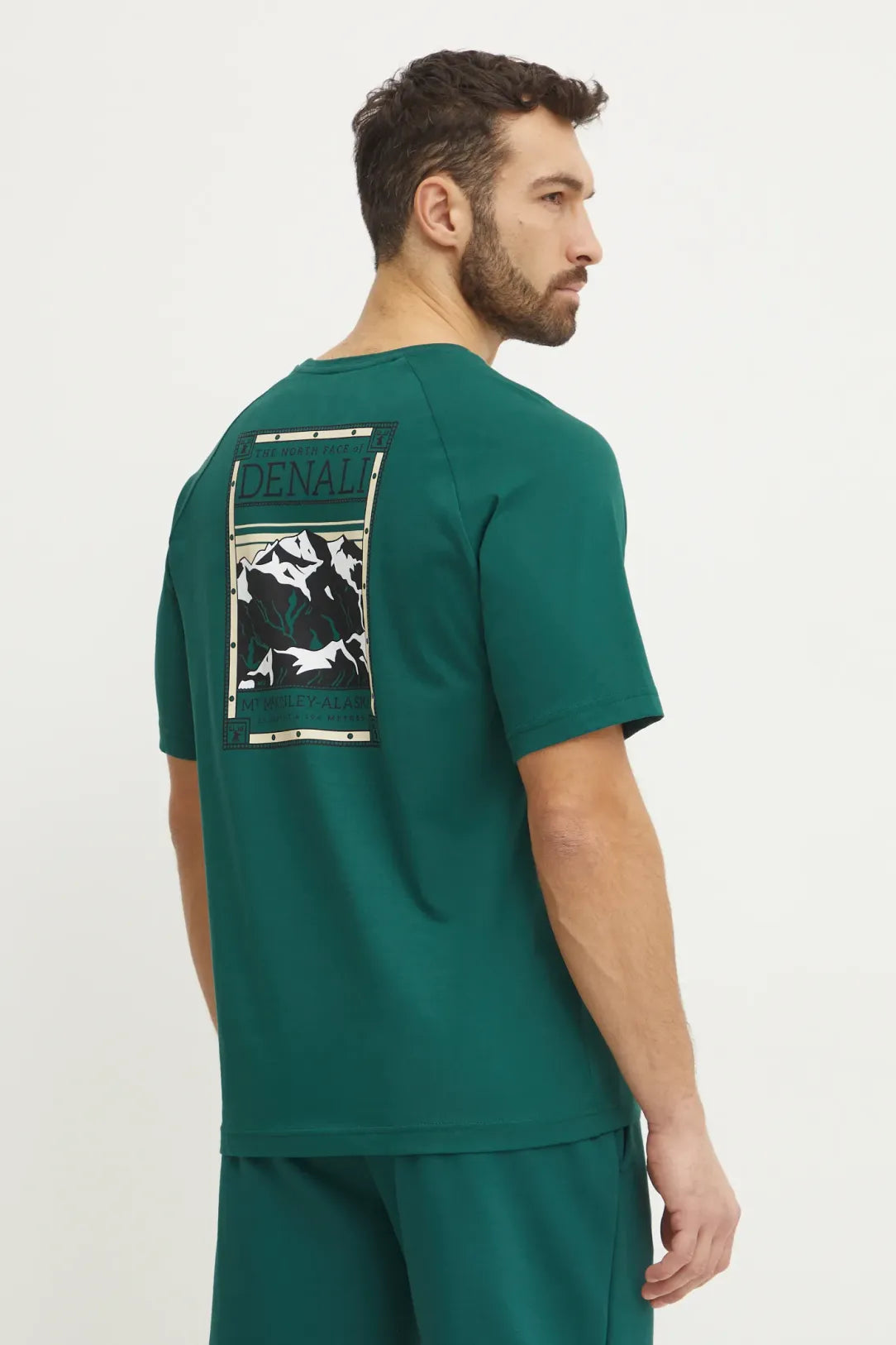 The North Face uomo t-shirt S/S NF0A87NU6GI1