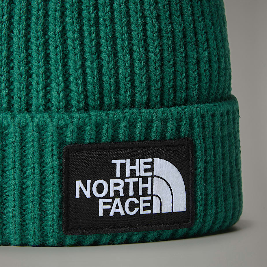 the north face cappello logo box evergreen