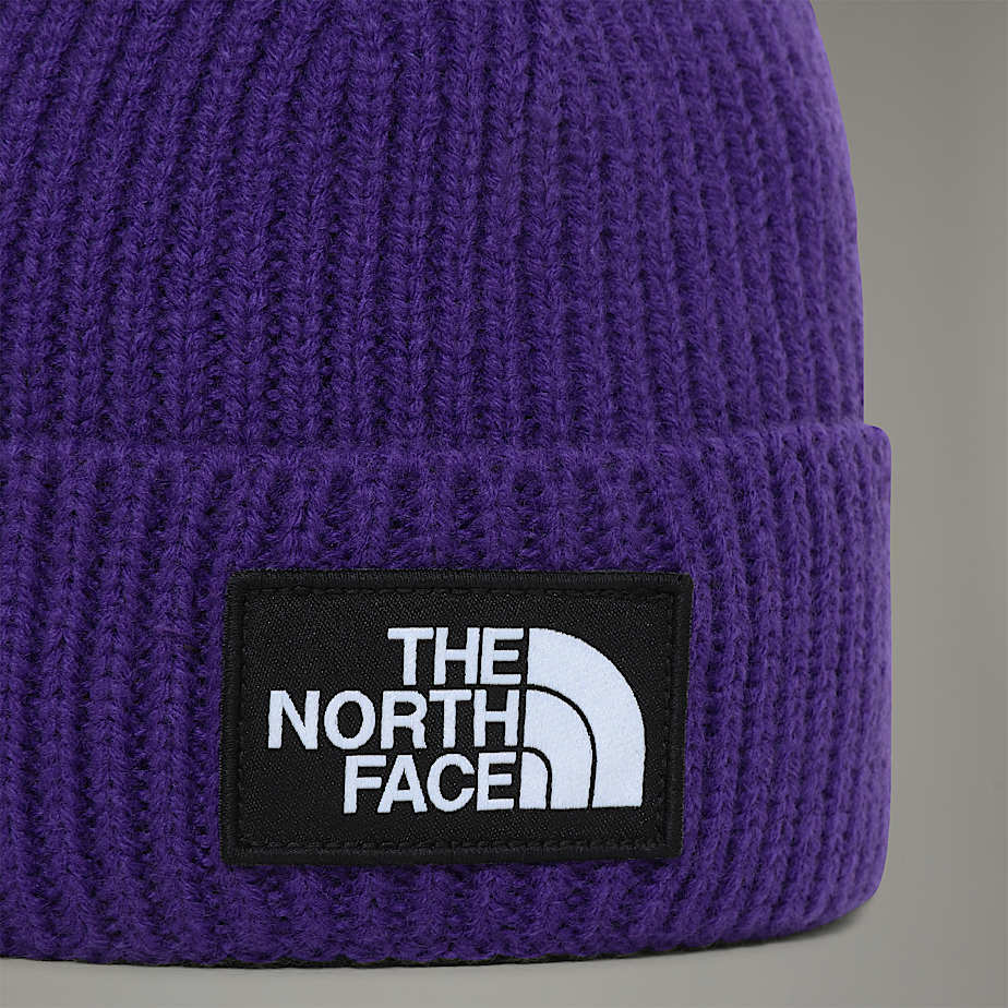 the north face cappello logo box peak purple