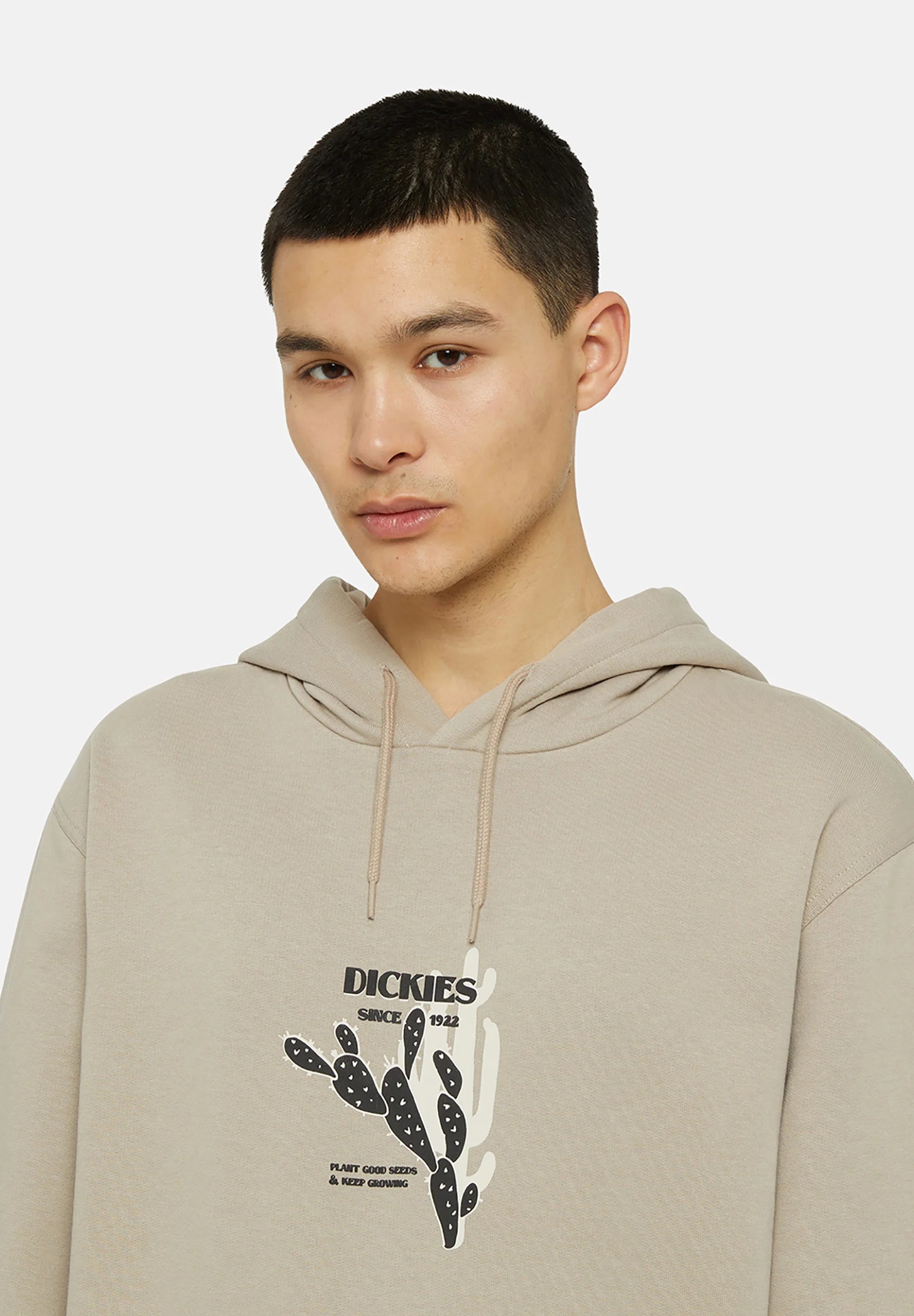 Dickies Uomo Felpa Herndon DK0A4YQ7SS01