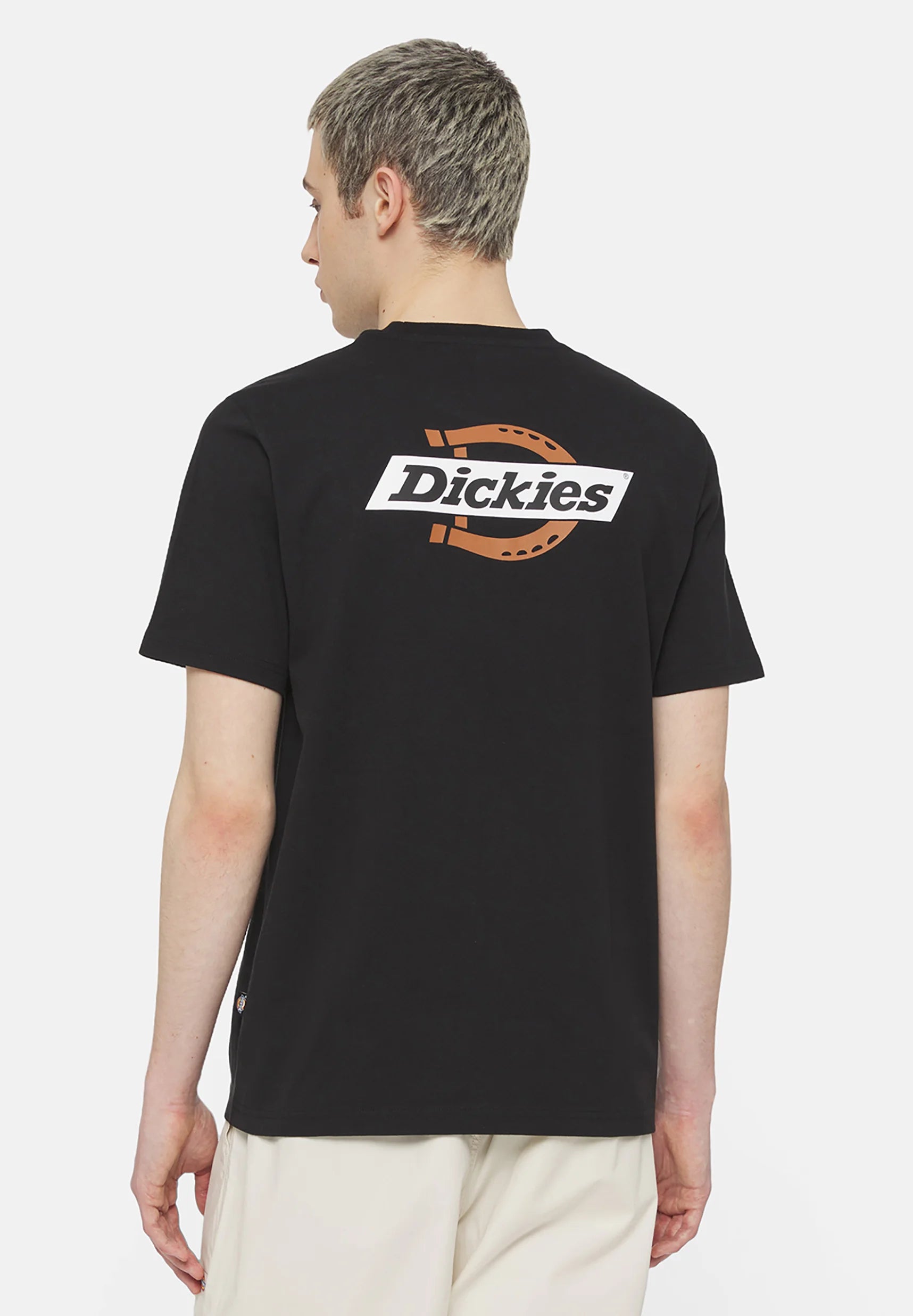 Dickies Uomo T-shirt Ruston DK0A4XDCJ471