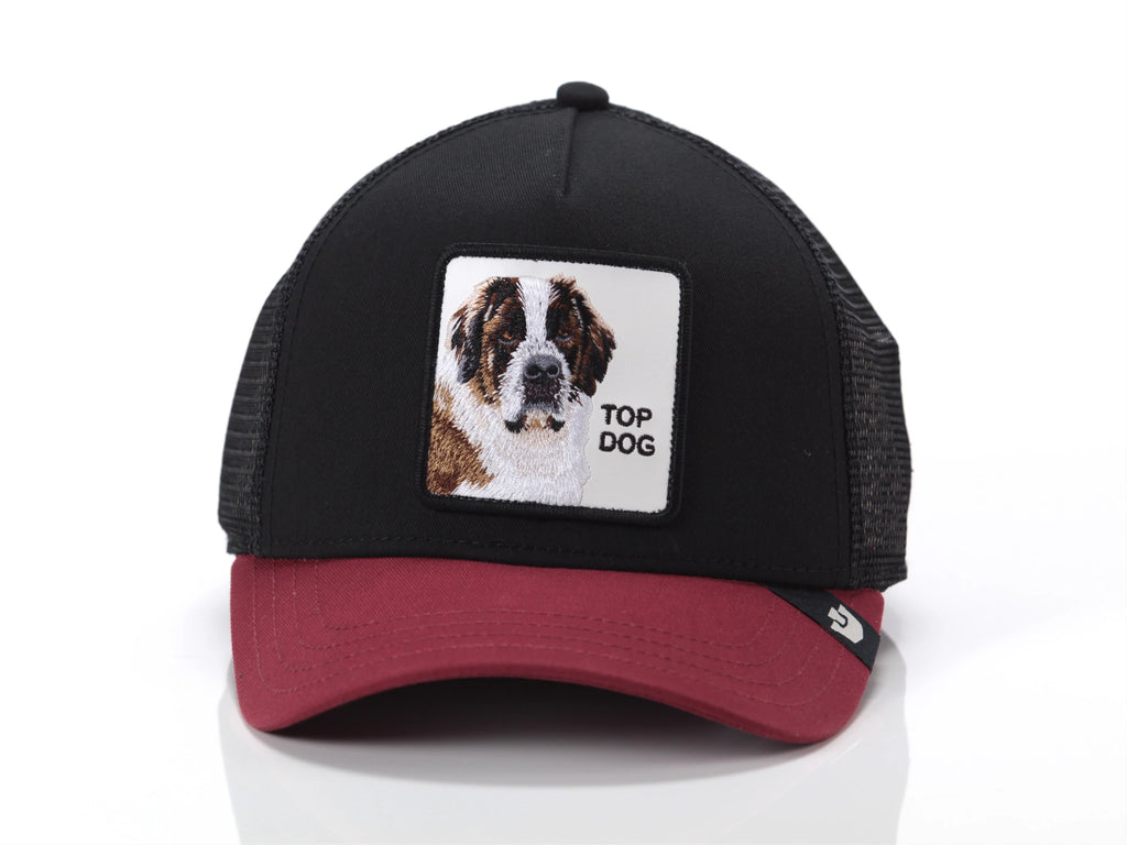 Goorin Bros uomo capello CRUSH TOP DOG 101-1788