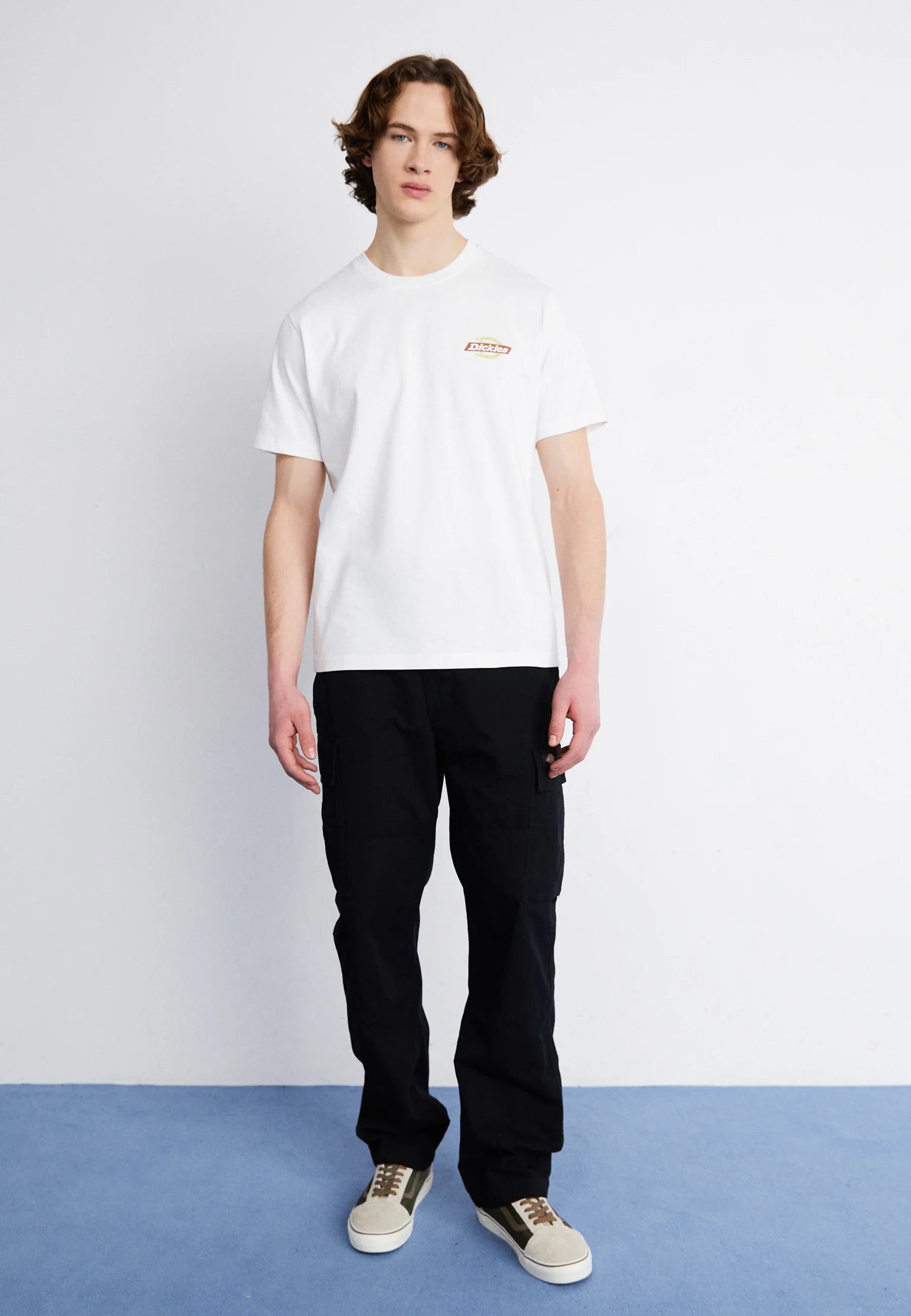 Dickies Uomo T-shirt Ruston DK0A4XDCH801