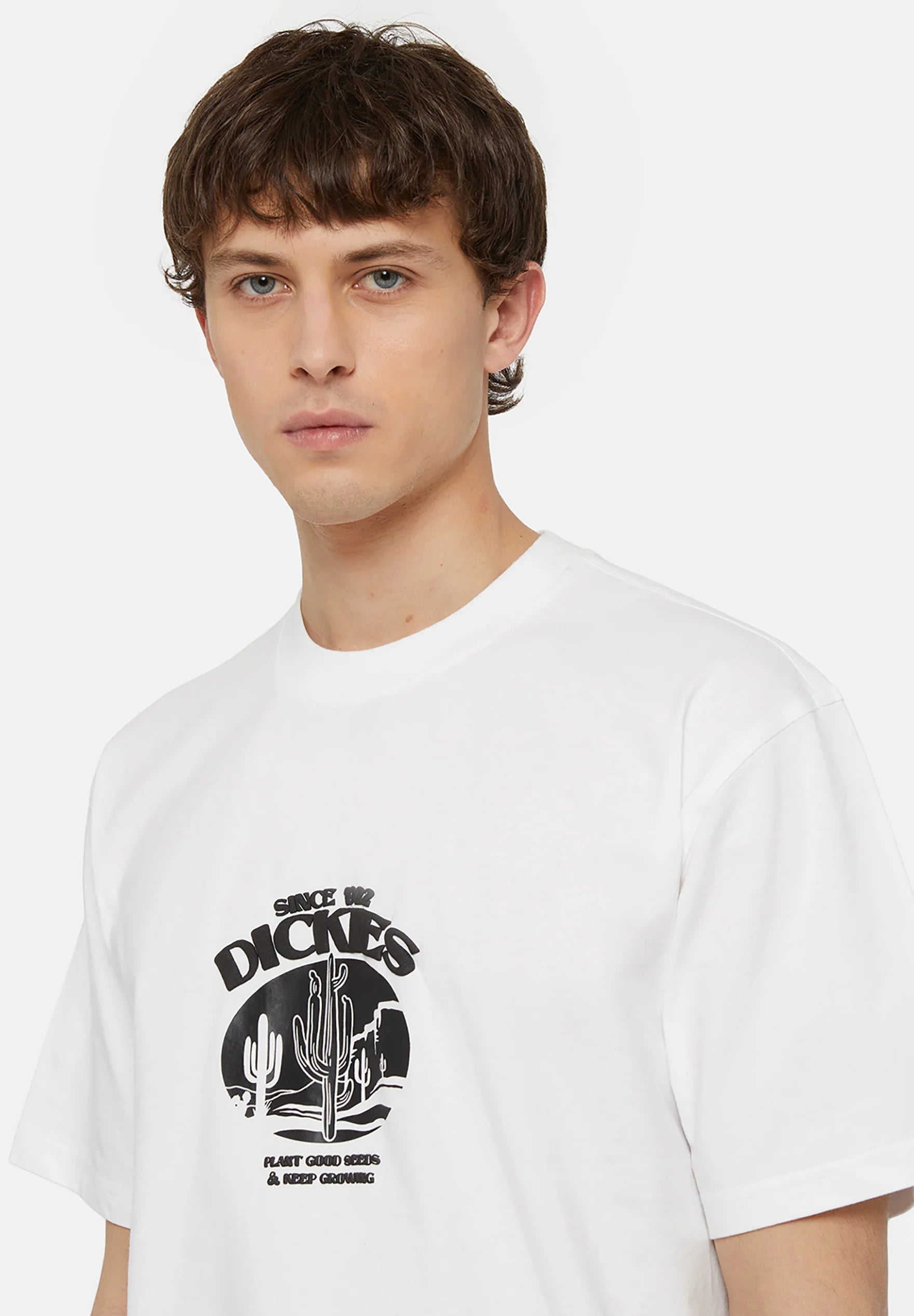 Dickies Uomo T-shirt Timberville DK0A4YR3WHX1