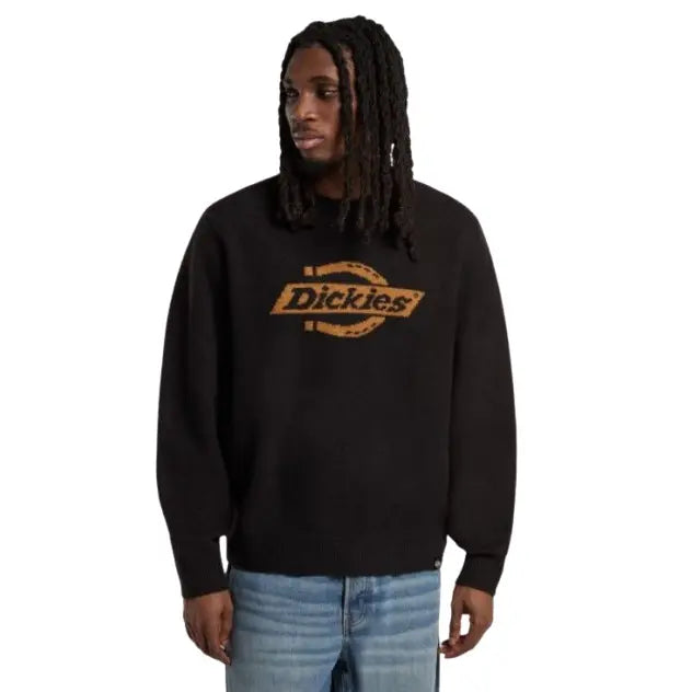 dickies uomo felpa Ruston DK0A87OQ0BD1 Black
