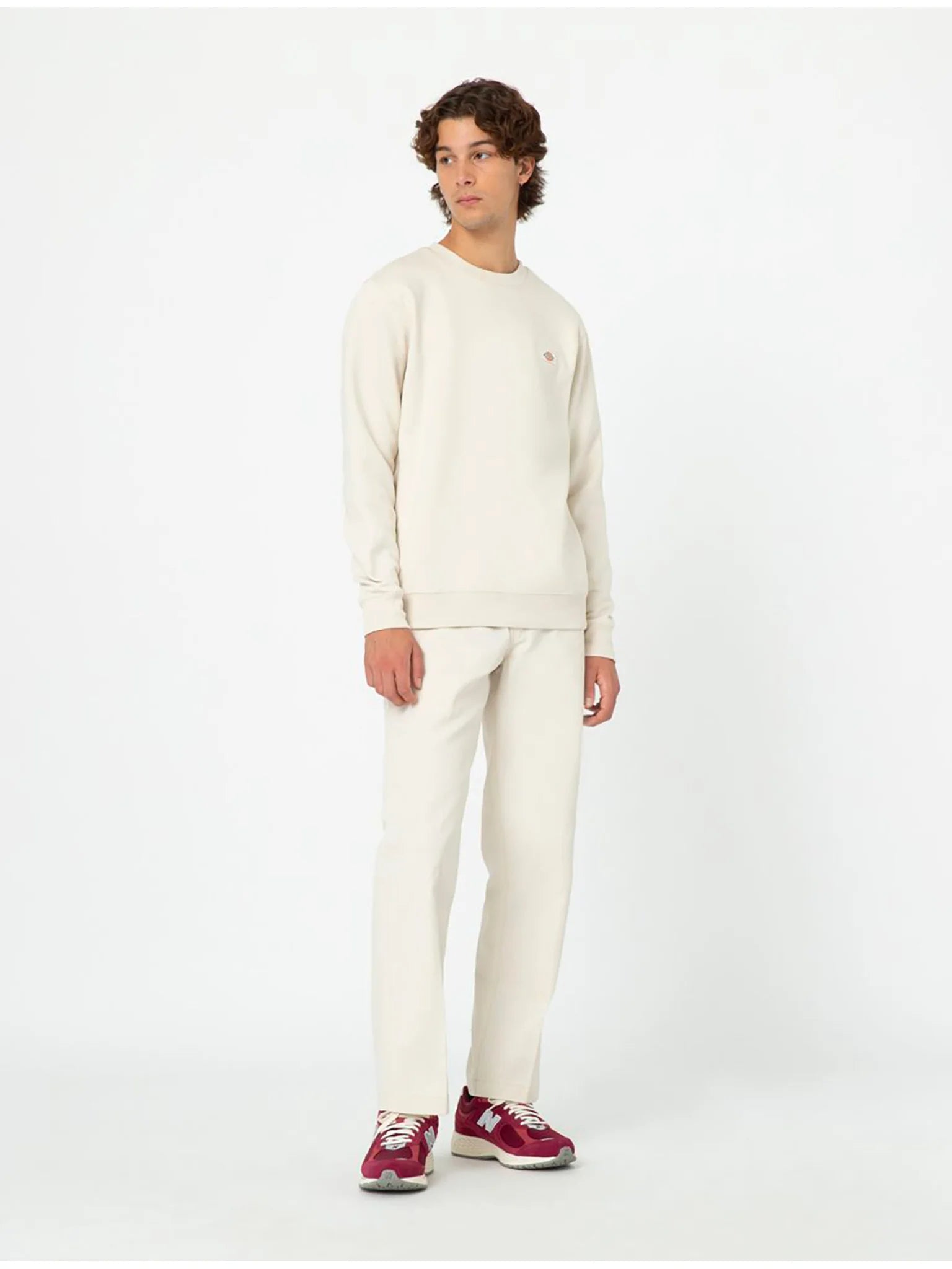 Dickies Uomo Pantalone 874 work DK0A4XK6F901