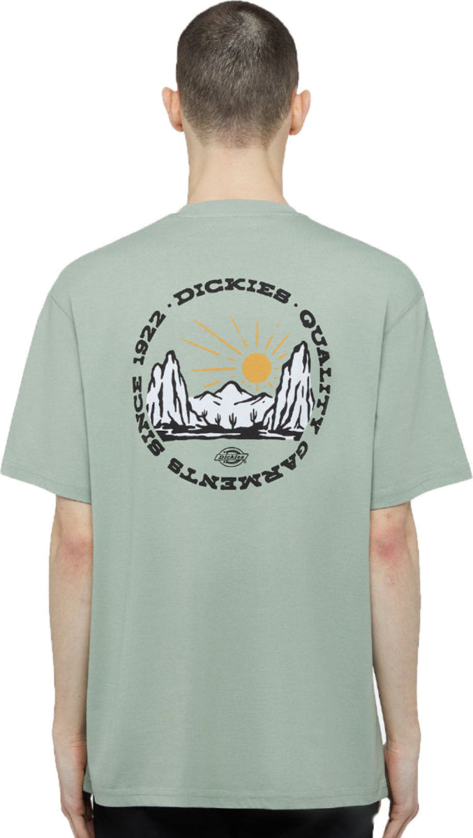 Dickies uomo t-shirt Outdoor DK0A4Z8PK361