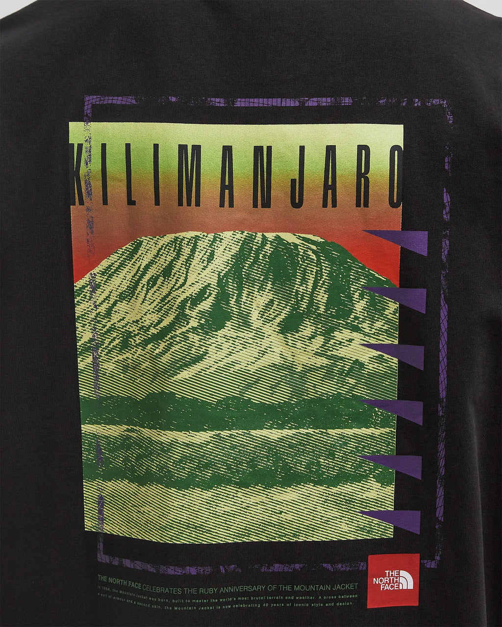 The North Face uomo t-shirt Axys Over NF0A8C1RJK31