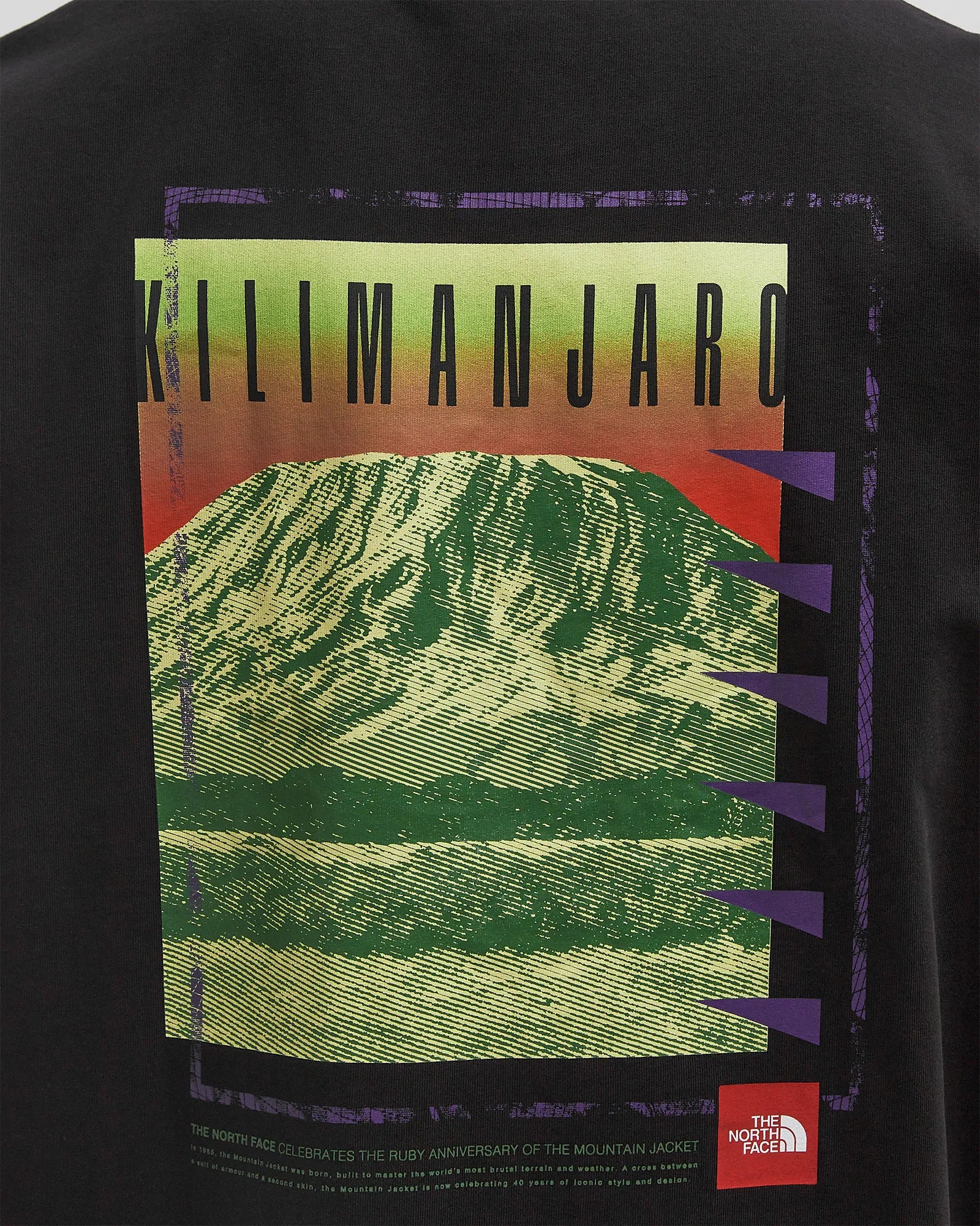 The North Face uomo t-shirt Axys Over NF0A8C1RJK31
