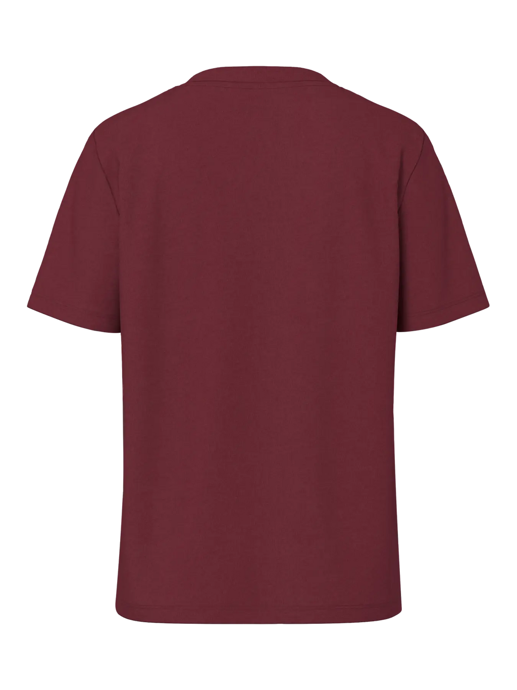 PIECES T-SHIRT RIA 17140802 NOOS Tawny Port
