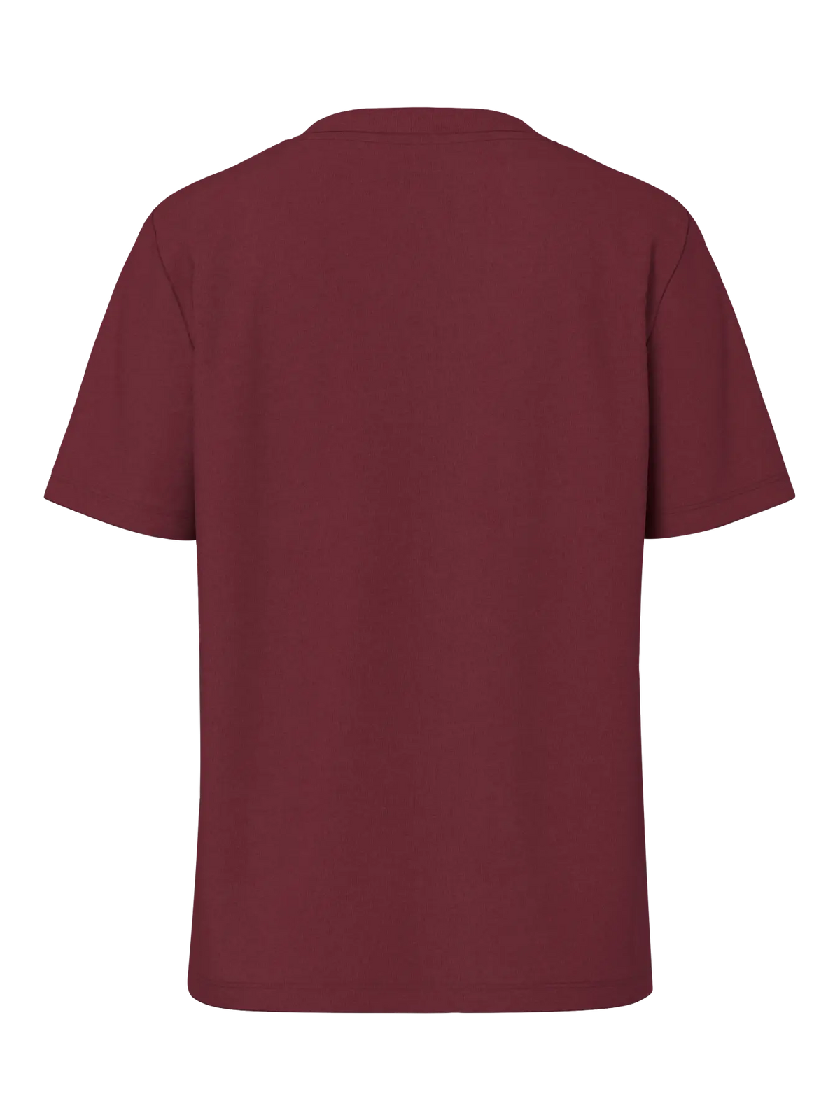 PIECES T-SHIRT RIA 17140802 NOOS Tawny Port